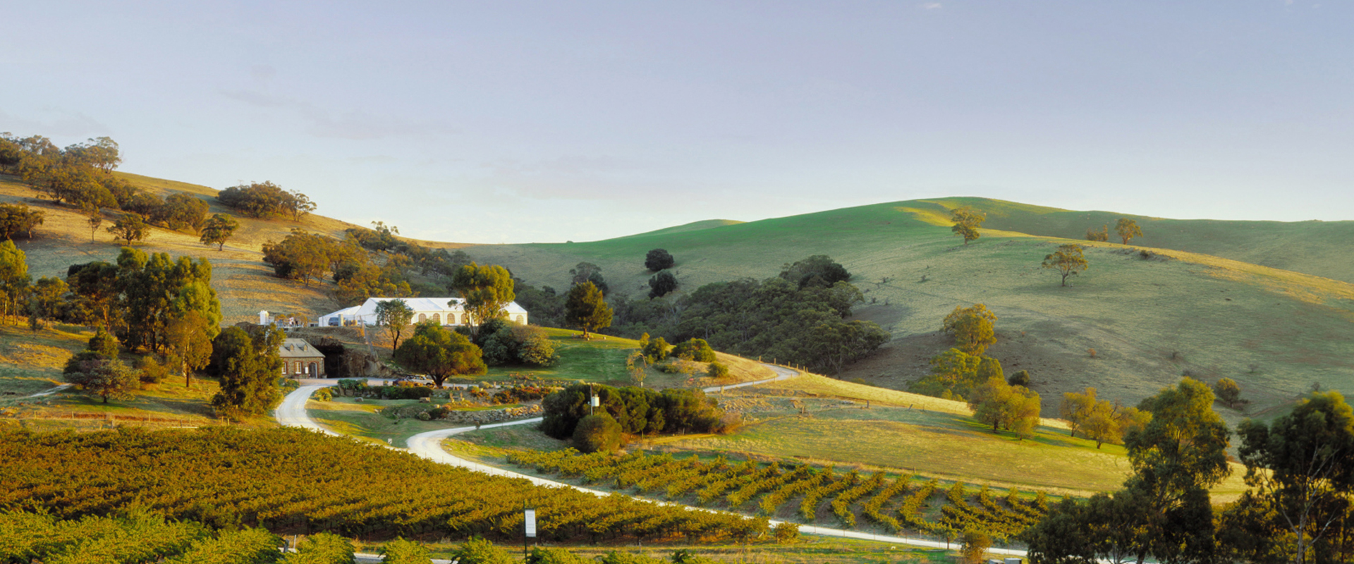 Explore places to go in South Australia: Barossa