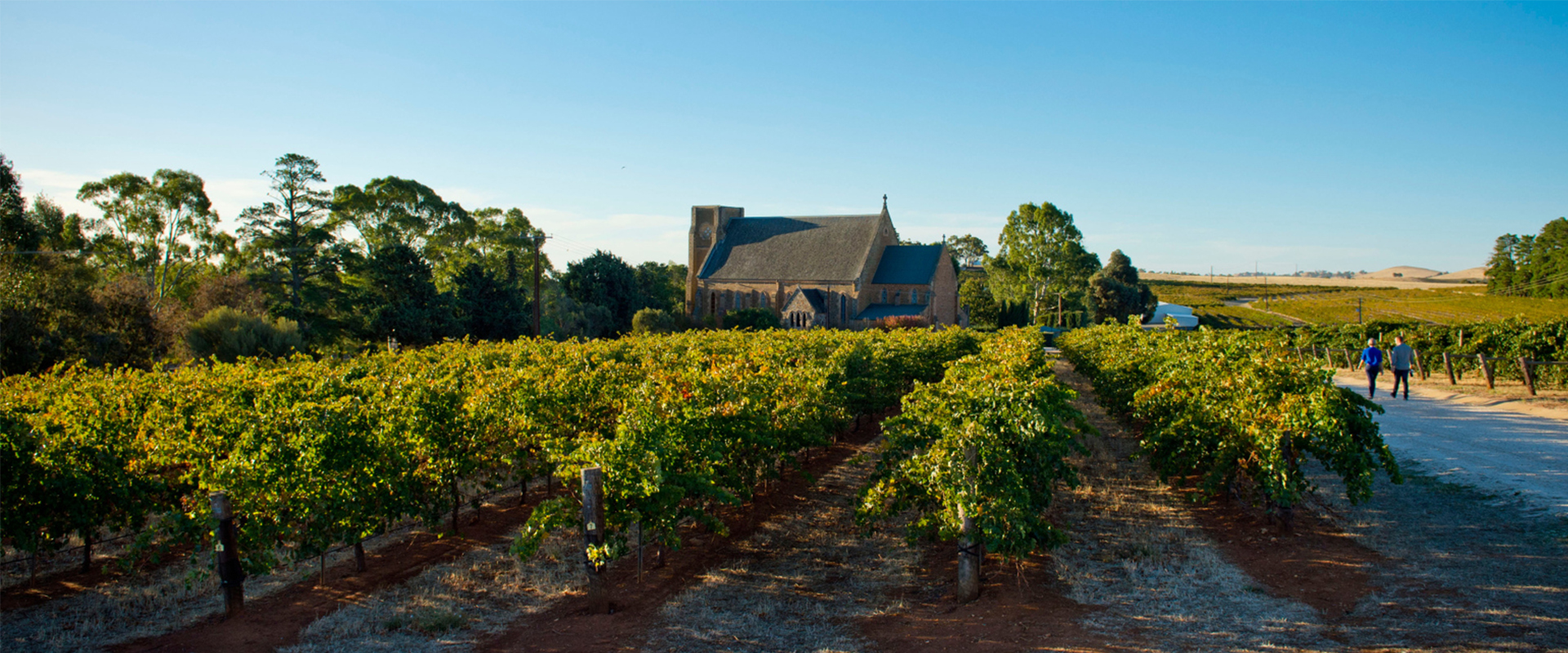 Explore places to go in South Australia: Clare Valley