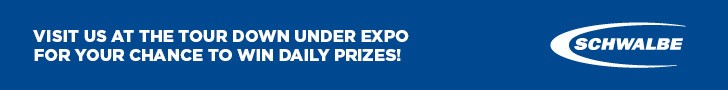 Website Schwalbe Banner