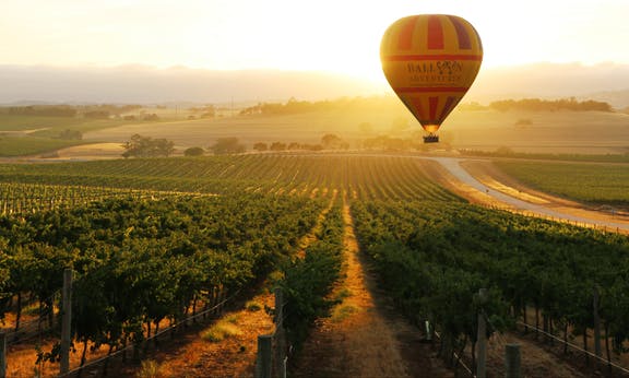 Things to seeand do in the Barossa