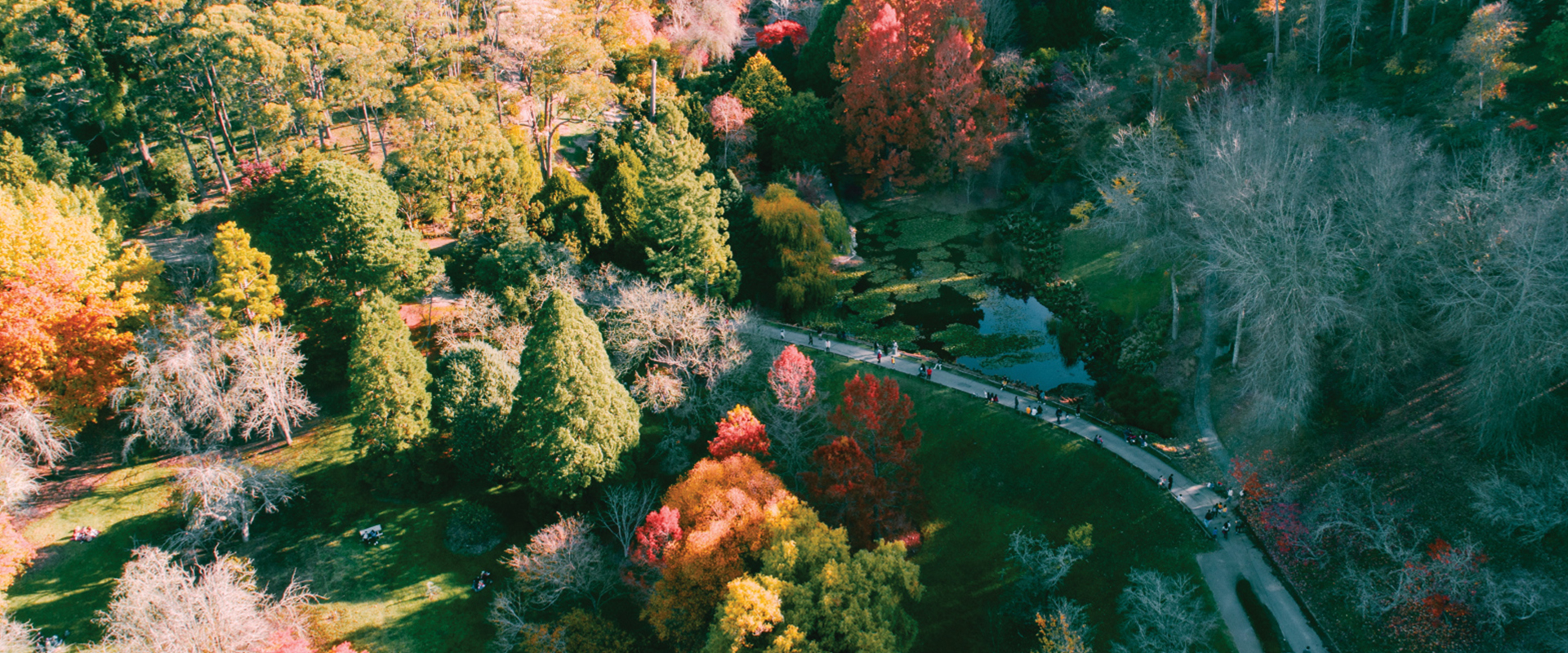 Explore places to go in South Australia: Adelaide Hills