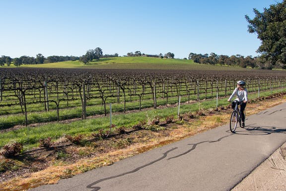 CYCLING & BIKE HIRE IN THE BAROSSA