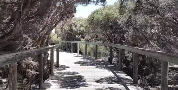 CYCLING & BIKE HIRE IN THE FLEURIEU PENINSULA